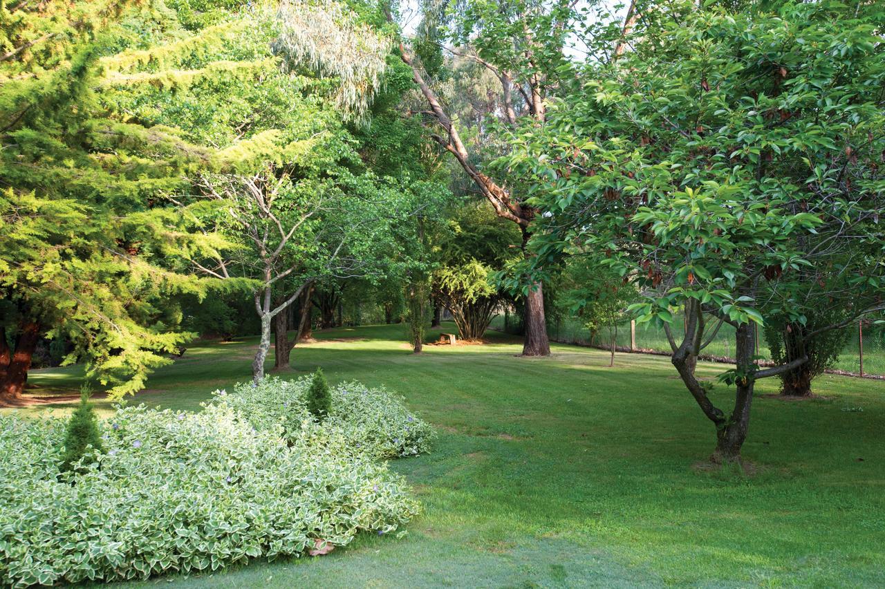 Clifton Gardens Bed&Breakfast - Orange Exterior foto